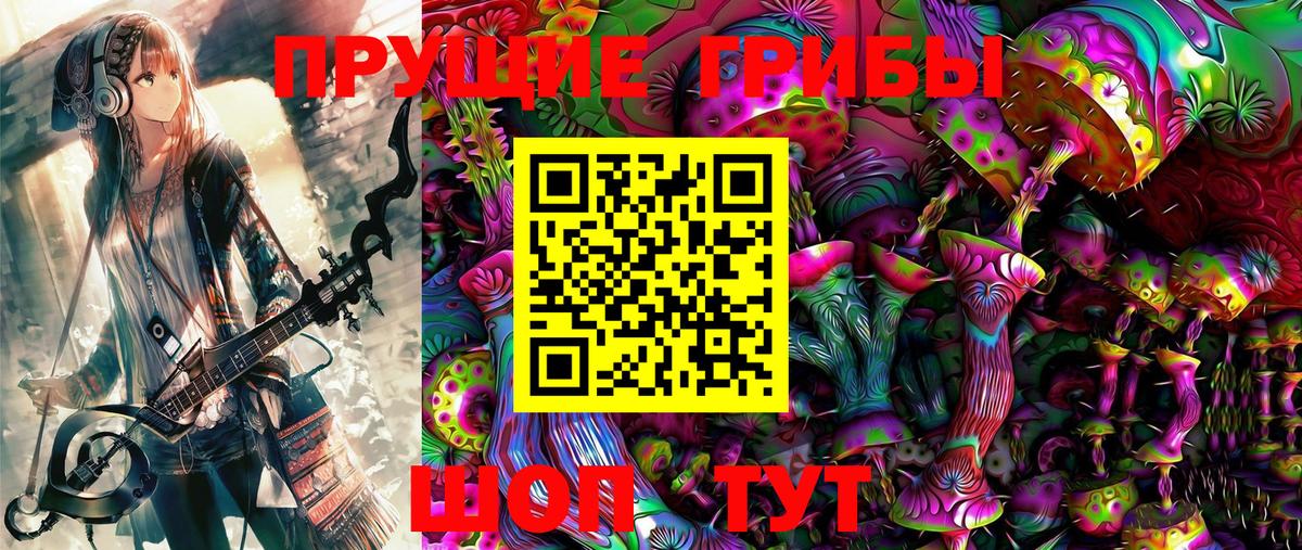 Галлюциногенные грибы мицелий  Галлюциногенные грибы Psilocybine cubensis  закладки  Магадан  Вход с VPN 