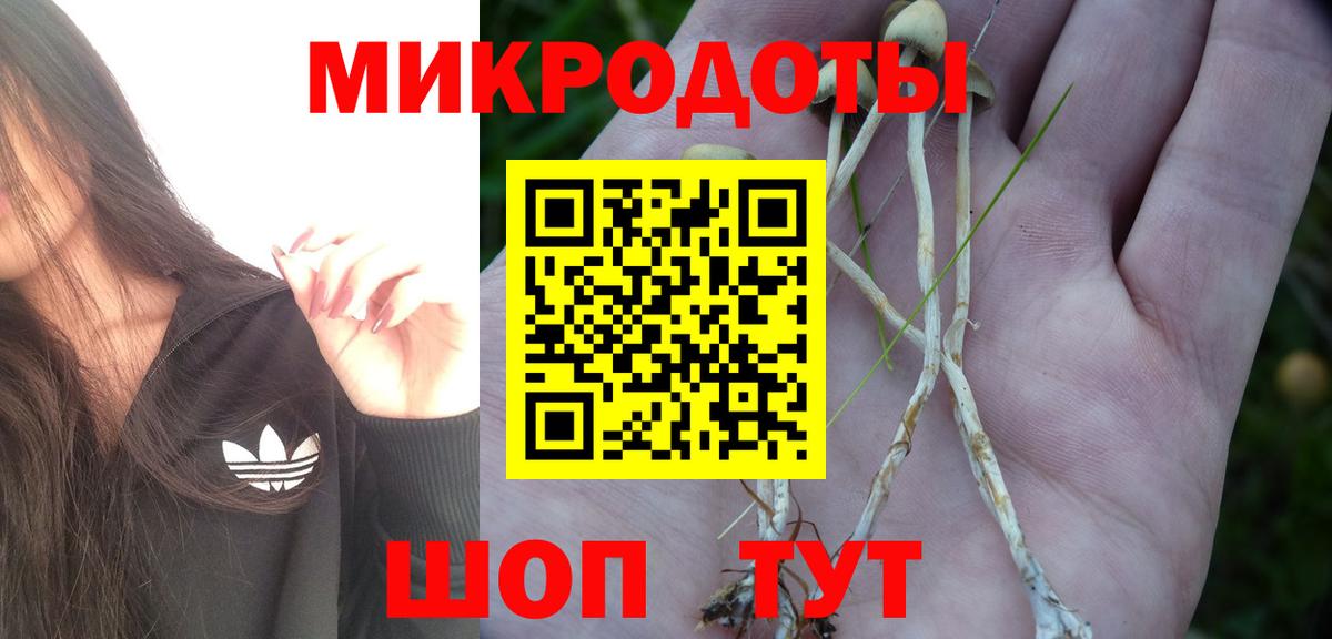 Галлюциногенные грибы MAGIC MUSHROOMS Магадан